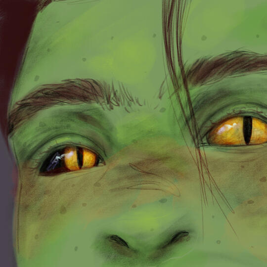 a close up of a goblin face; only the nose eyes and eyebrows are visible. one eye has a black sclera and a yellow iris with a slit pupil and the other has an all yellow sclera with no visible iris and a black slit pupil as well.